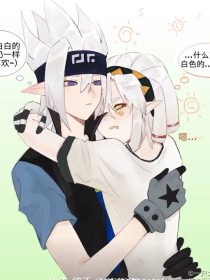 福建大菠萝官方网站